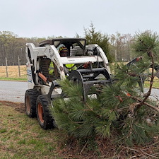 Large-Pine-and-Maple-Tree-Removal-Around-Power-Lines 4